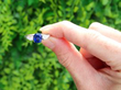 Platinum Sapphire Ring with Pear Side Diamonds outside