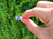 Oval Sapphire Ring with Baguette Diamonds outside