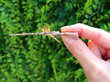 Vintage Pheasant and Shotgun Brooch outside