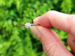 1950s Round Cut Solitaire in 18ct Yellow Gold