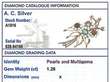 Independent Grading Report Card