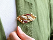 Wearing Art Deco Gold Brooch