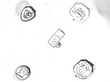 Victorian Coffee Pot Hallmarks