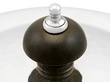 Art Nouveau English Silver Tea Set Finial 