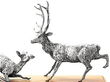 Sterling Silver Deer Model