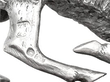 Sterling Silver Deer Model