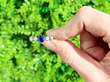 Sapphire and Diamond Ring in White Gold 