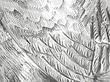 Silver Bird Pepperette
