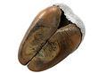 Hoof Inkwell underside