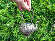 silver teapot outside