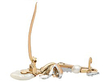 Victorian Pearl Brooch
