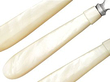 mother of pearl cutlery handles