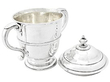 silver cup and cover open