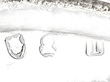 Silver Sugar Basket Set of Hallmarked