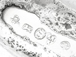 Antique Silver Sauce Boats