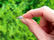 Solitaire Engagement Ring in Yellow Gold for Sale
