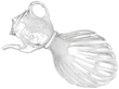 Silver Caddy Spoon