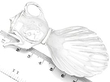 Silver Caddy Spoon