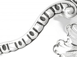Silver Presentation Bowl for Sale detail