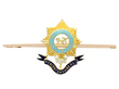 Military Brooch