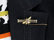 Insect Brooch Wearing