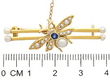 Insect Brooch Size