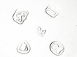 silver sauce boat antique hallmarks 