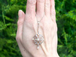 Diamond & Pearl Necklace Outside