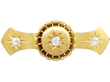 Victorian Star Brooch
