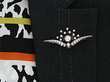 wearing Antique Victorian Diamond Brooch