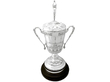 Presentation Cup