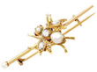 Antique Pearl Insect Brooch