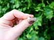pearl diamond ring in white gold
