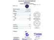 Diamond Necklace Certificate