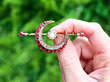 Ruby Crescent Brooch