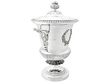 Silver Cup & Cover