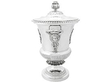 Silver Cup & Cover