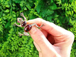 Vintage Frog Brooch