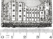 Victorian Vinaigrette size