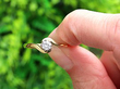 Twist Solitaire Ring in Yellow Gold