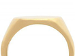 9ct Yellow Gold Signet Ring