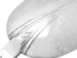 Trefid spoon