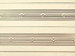 Antique Gold Vesta Case detail