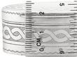 Silver Nutmeg Grater size