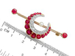 Antique Crescent Moon Brooch