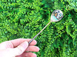 Silver and Enamel Spoons
