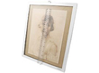Plain Silver Photo Frame Size