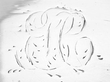 Silver Salts Antique Crest