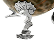 Cowrie Shell Salts