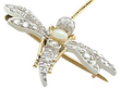 Antique Dragonfly Brooch